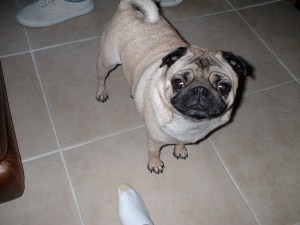 Imported Photos 00069